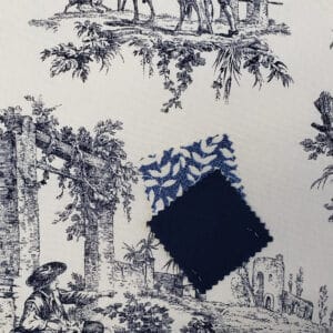 Bouvier Blue Toile with Coordinates