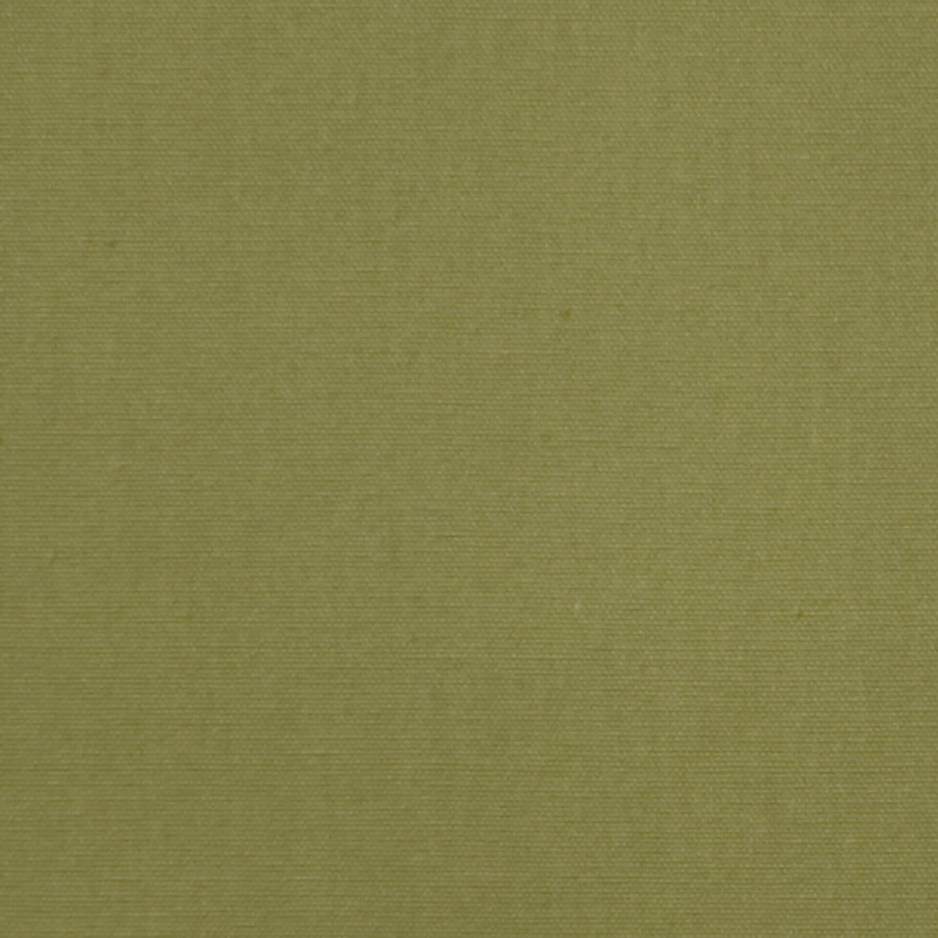 Cozumel Fabric by the Yard - Pear