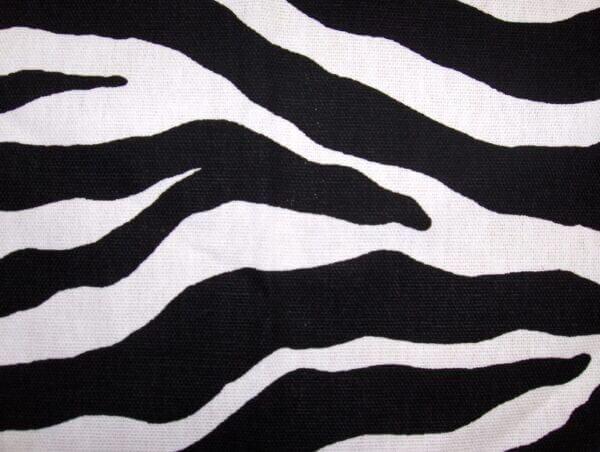 Zebra Black and White print image for fabric detail