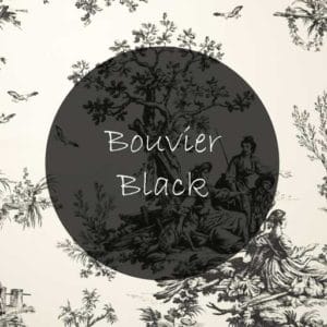 Bouvier Black