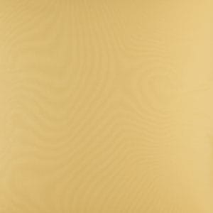 PTS fabric by the yard