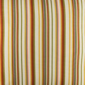 Luxuriance Fabric By the Yard - Stripe