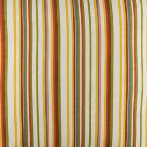 Luxuriance Fabric By the Yard - Stripe