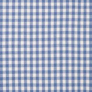 Virginia Blue and white check fabric image