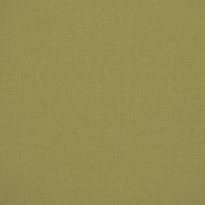 Kahlee Solid Green ~ Fabric By the Yard