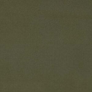 Queensland Autumn Solid Green ~ Fabric By the Yard