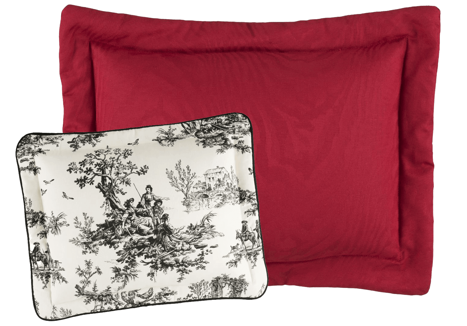 Bouvier Pillows - one Red and one with the Bouvier Black pattern