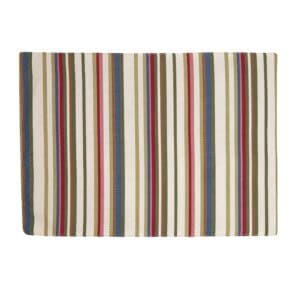 Pastel Harmony Stripe Place Mats - Pack of 4