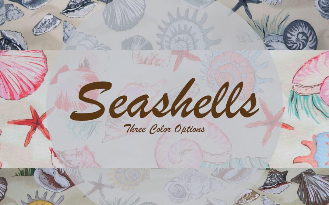 Introducing the Seashell Collections