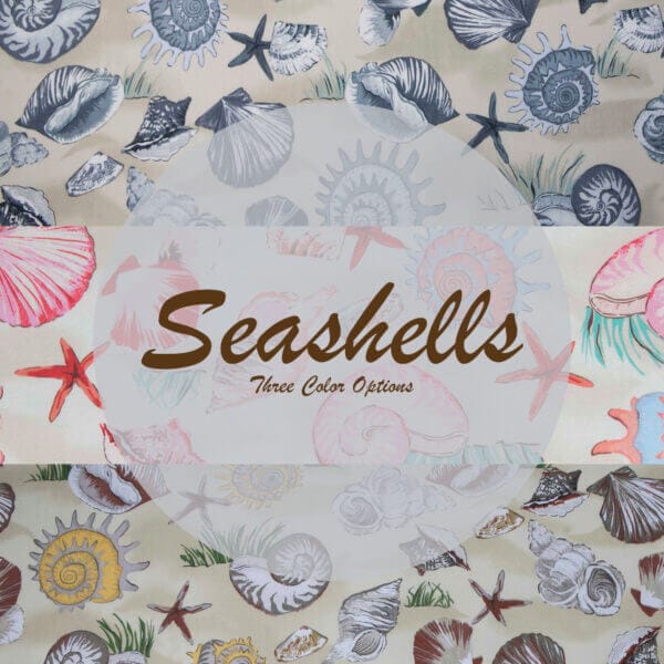 Seashells Collection icon