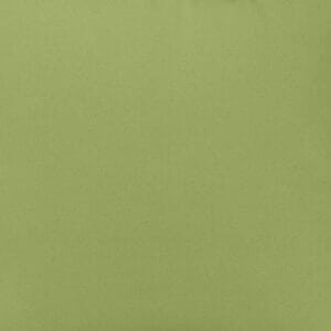 Bouvier Green Solid Light Green ~ Fabric by the Yard