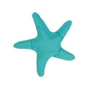 Zealand Starfish Pillow