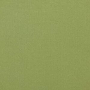 Bouvier Green Solid Light Green ~ Fabric by the Yard