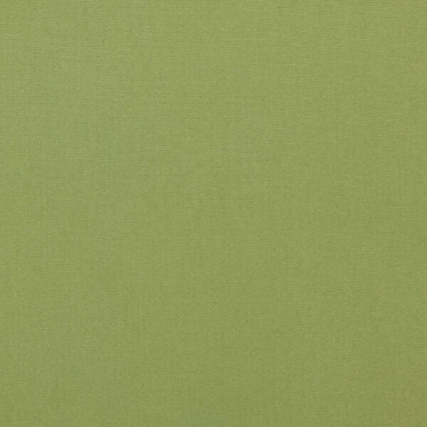 Bouvier Green Solid Light Green ~ Fabric by the Yard